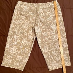 Briggs New York Capris 18W